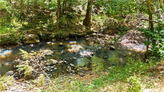 711 Oak Knoll Cir, Auburn, AL 36830 - view of local wilderness