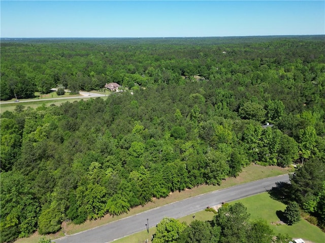 Listing photo 3 for 8894 Tara Ln, Auburn AL 36830