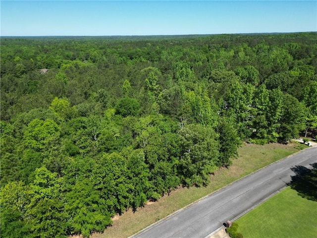 8894 Tara Ln, Auburn AL, 36830 land for sale