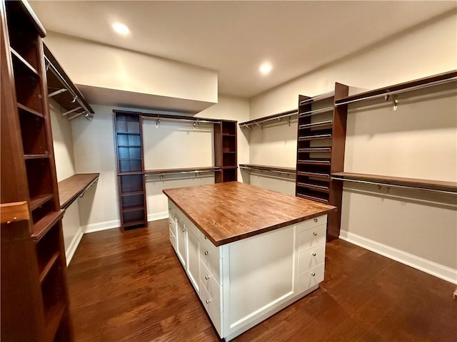 spacious closet featuring dark wood-type flooring