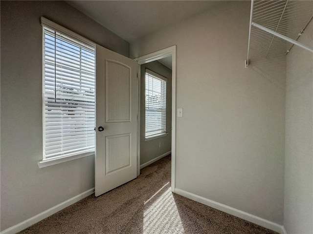 walk in closet with carpet flooring