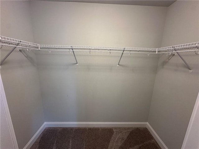 1882 Waterfall Rd, Auburn, AL 36832 - spacious closet featuring carpet