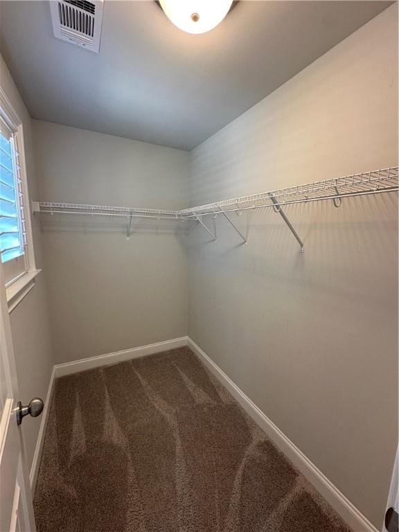 1882 Waterfall Rd, Auburn, AL 36832 - walk in closet featuring carpet flooring