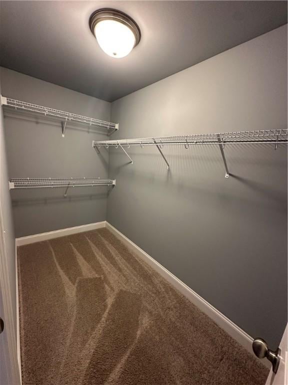 1882 Waterfall Rd, Auburn, AL 36832 - walk in closet featuring carpet floors