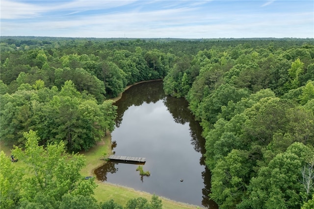 2007 Lee Road 183, Opelika, AL 36804 - photo 34