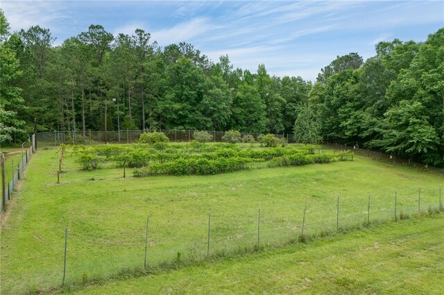 2007 Lee Road 183, Opelika, AL 36804 - photo 33