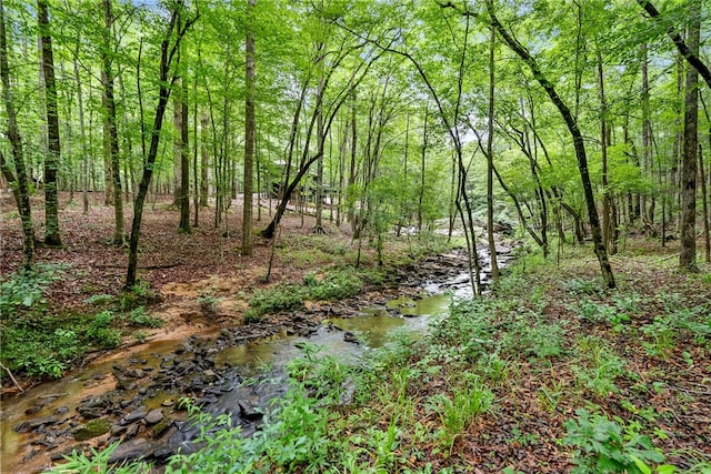 2007 Lee Road 183, Opelika, AL 36804 - photo 1