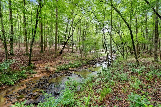2007 Lee Road 183, Opelika, AL 36804 - photo 2