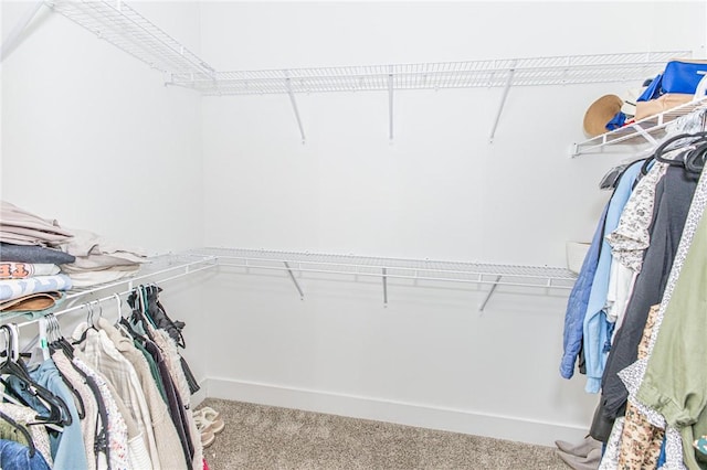 walk in closet featuring carpet flooring