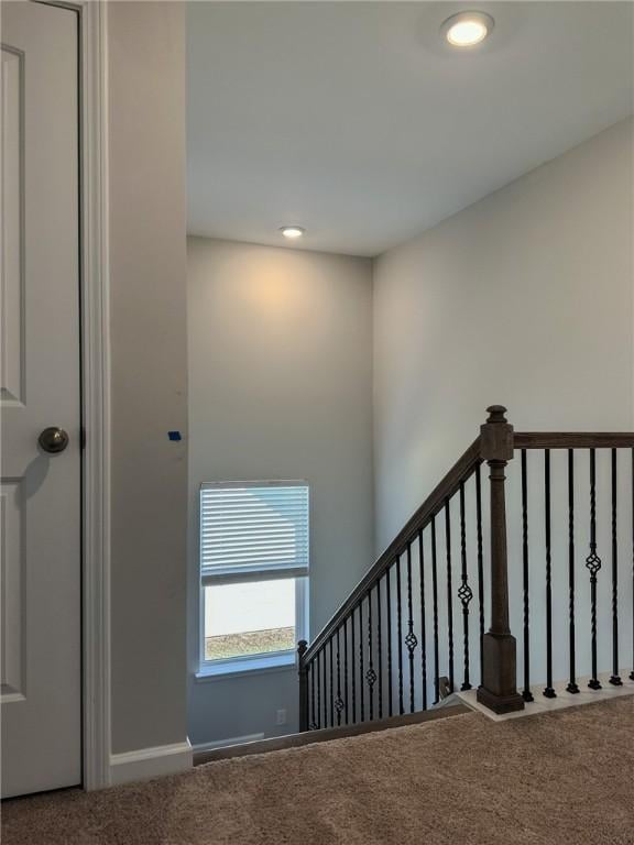 staircase with carpet