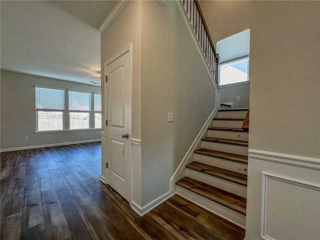 stairway with ceiling fan, wood-type flooring, and crown molding