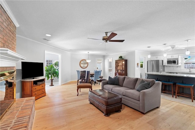 1340 Ferndale Dr, Auburn, AL 36830 - living room featuring a ceiling fan, light wood finished floors, healthy amount of natural light, ornamental molding, and a textured ceiling