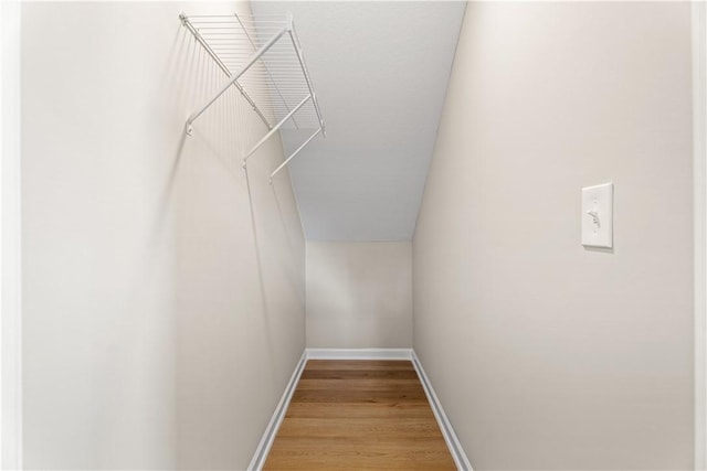 spacious closet with light wood-type flooring