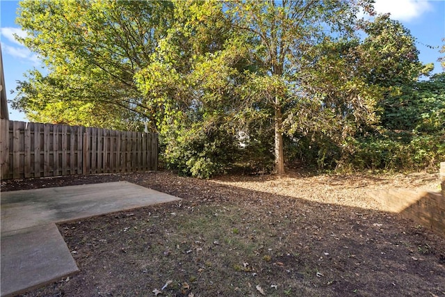 view of yard with a patio area