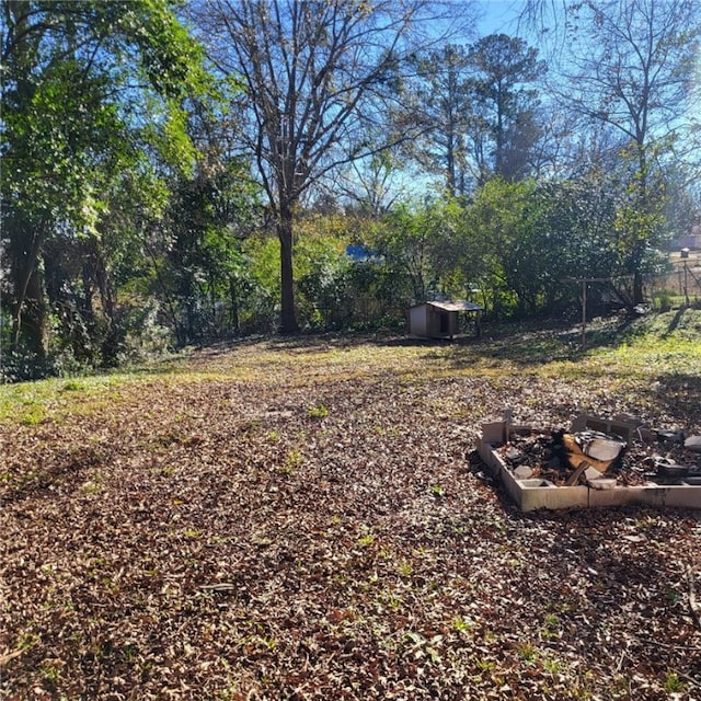 view of yard with a storage shed