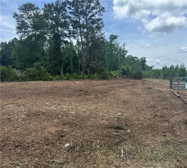 LOT58 Lee Road 266, Cusseta, AL 36852