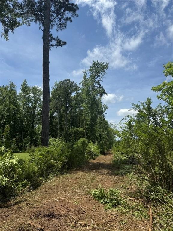 LOT58 Lee Road 266, Cusseta, AL 36852