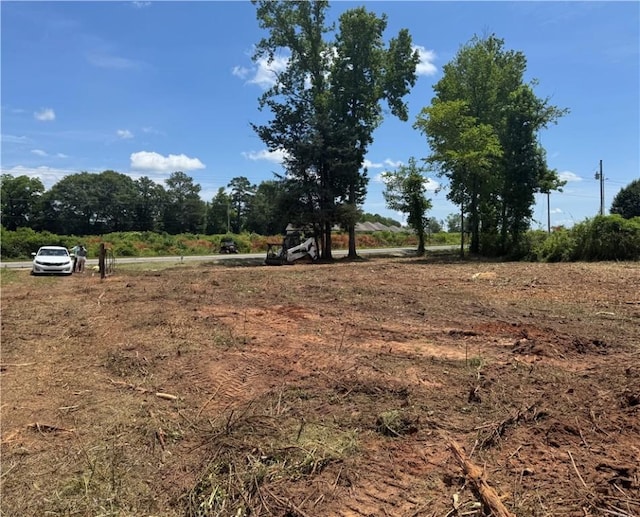 LOT58 Lee Road 266, Cusseta, AL 36852