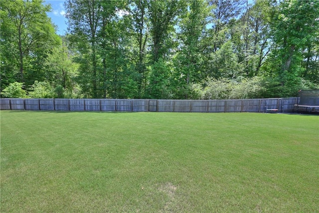 261 Woodward Way, Auburn, AL 36832 - view of yard