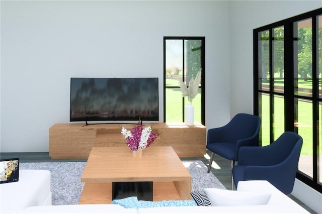 living room with a healthy amount of sunlight and hardwood / wood-style flooring