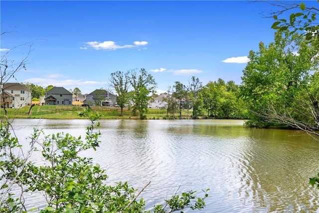 1835 Solamere Ct, Auburn, AL 36832 - water view with nearby suburban area