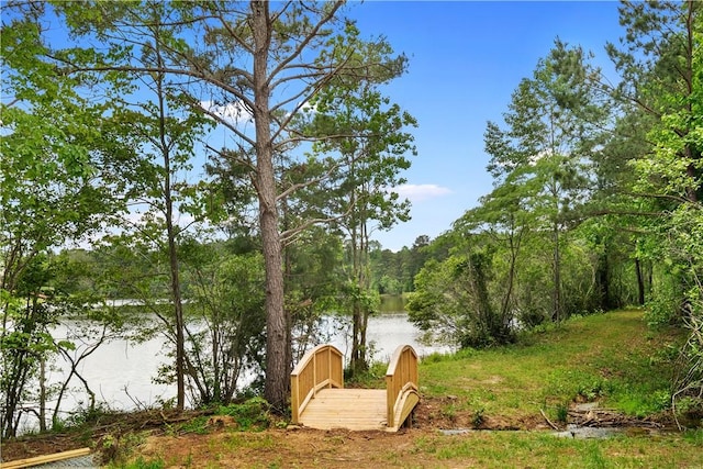 1835 Solamere Ct, Auburn, AL 36832 - water view with a forest