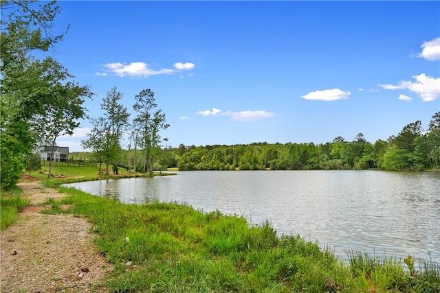 1835 Solamere Ct, Auburn, AL 36832 - water view featuring a heavily wooded area