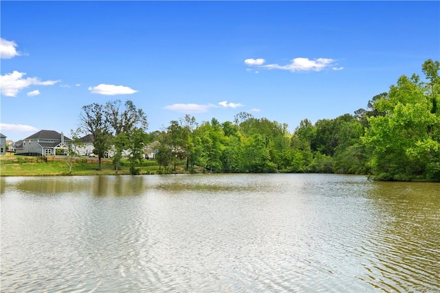 1835 Solamere Ct, Auburn, AL 36832 - water view