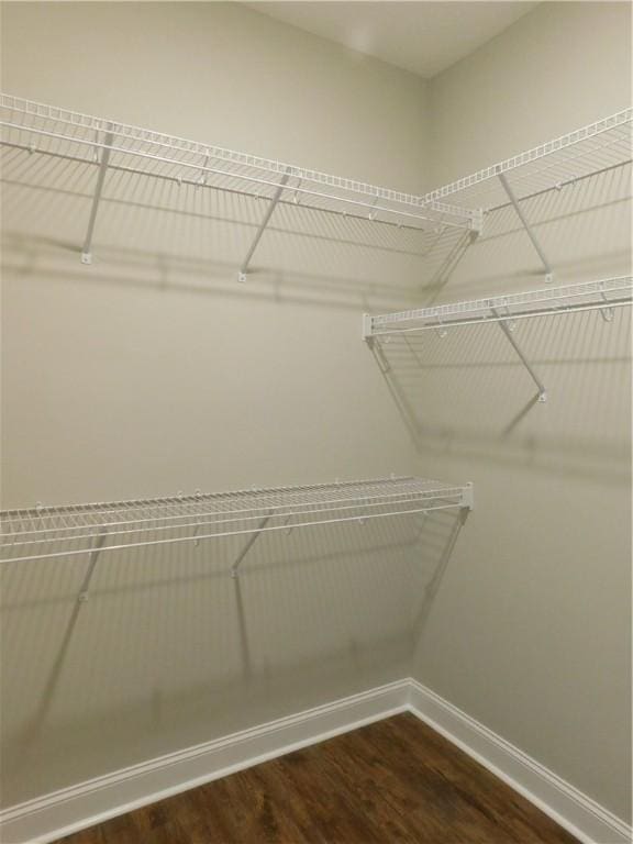 spacious closet featuring dark wood-type flooring