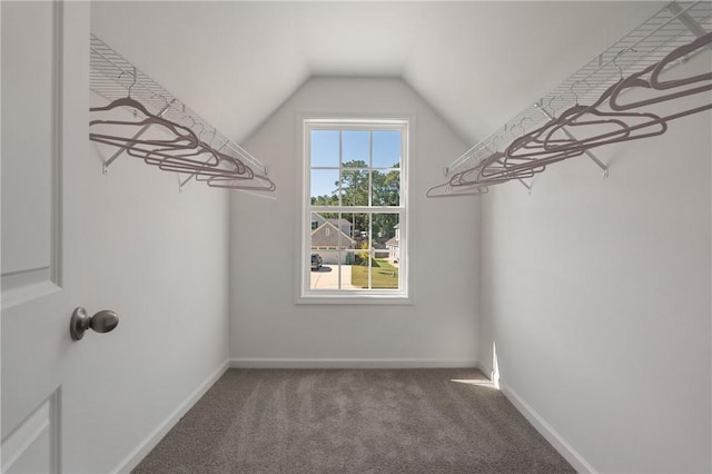 223 Meadowlark Dr, Smiths Station, AL 36877 - walk in closet with lofted ceiling and carpet