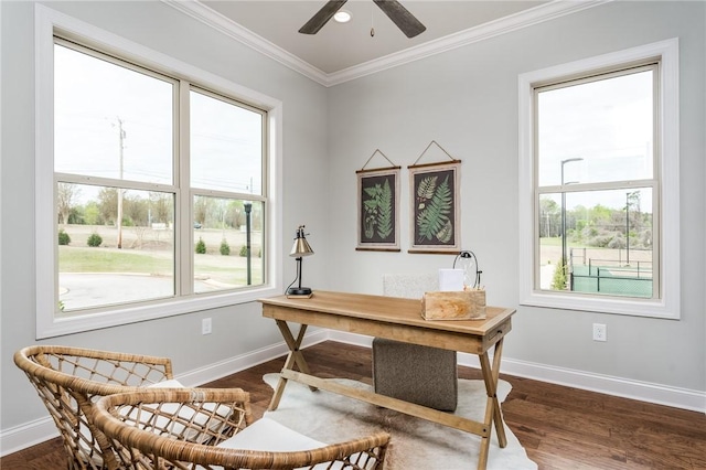 office featuring ceiling fan, ornamental molding, dark wood-style flooring, and baseboards