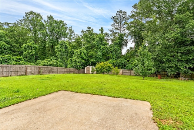 4339 Live Oak Dr, Auburn, AL 36830 - view of yard featuring a patio area