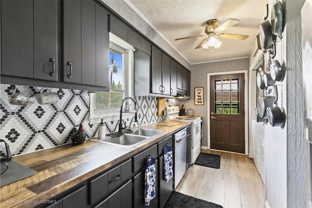 1066 Brown St, Valley, AL 36854 - kitchen featuring white electric range, decorative backsplash, crown molding, healthy amount of natural light, and light wood finished floors