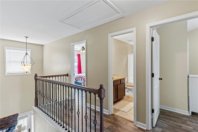 331 Lightness Dr, Auburn, AL 36830 - hall with attic access, an upstairs landing, dark wood finished floors, and plenty of natural light
