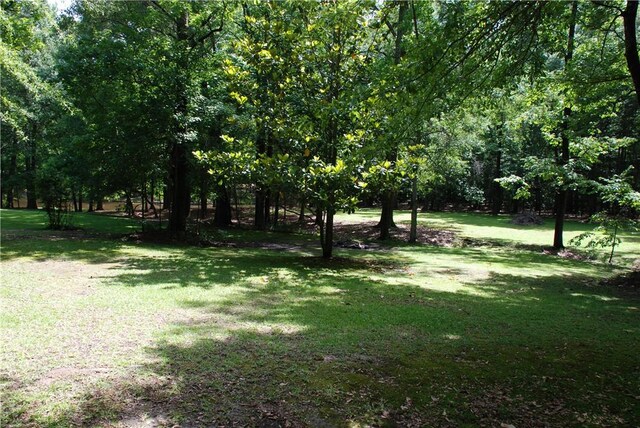2300 S Uniroyal Rd, Opelika, AL 36804 - photo 13