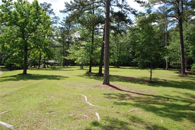2300 S Uniroyal Rd, Opelika, AL 36804 - photo 14