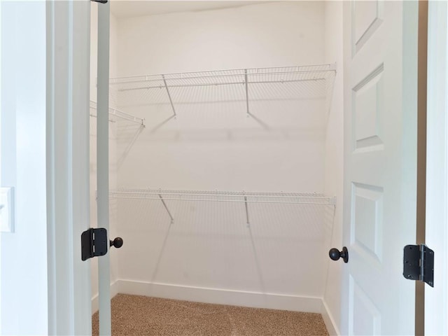 walk in closet with carpet floors