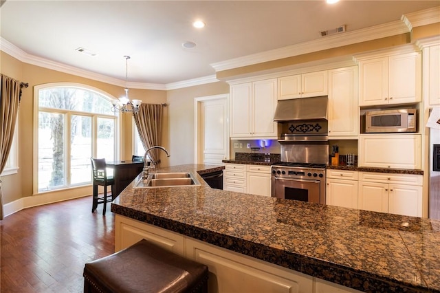 56 Peachwood Dr, Tallassee, AL 36078 - kitchen featuring a sink, appliances with stainless steel finishes, a chandelier, under cabinet range hood, and ornamental molding