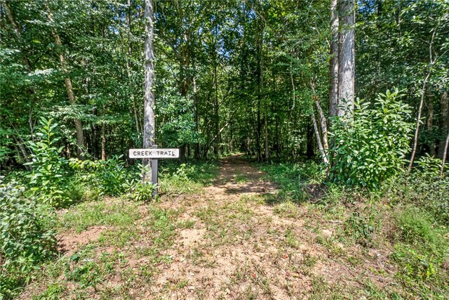 view of local wilderness