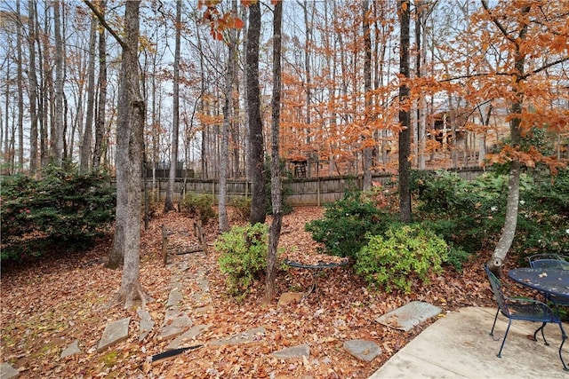 view of yard with a patio area