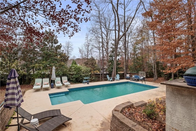 view of pool with a patio