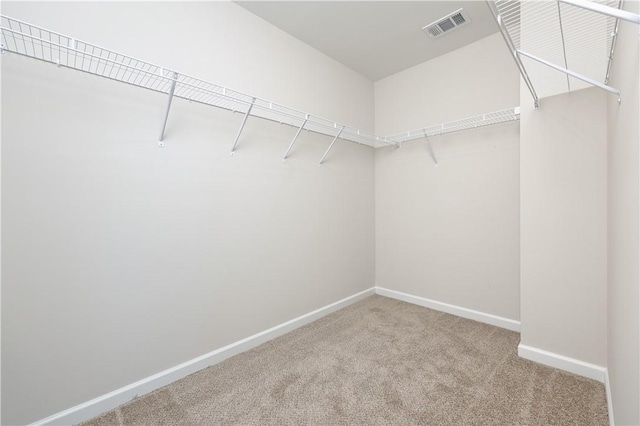 walk in closet with visible vents and carpet flooring