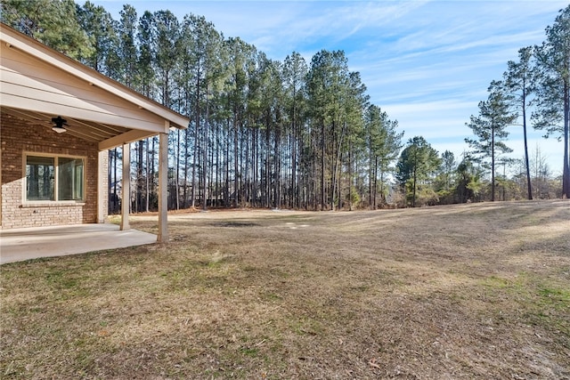 view of yard with a patio area and a ceiling fan