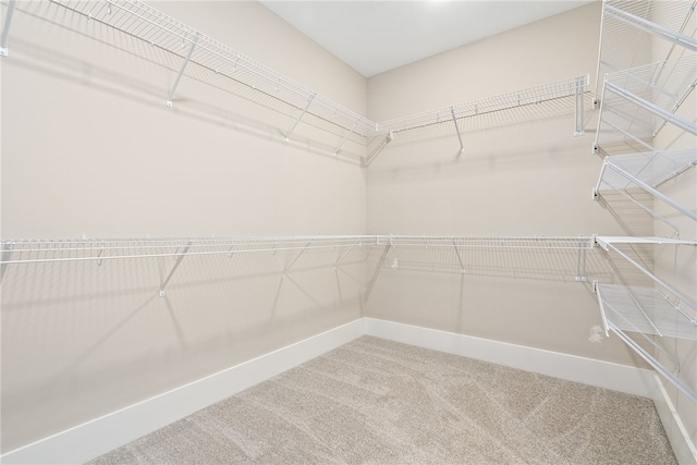 3667 Tiana Way, Opelika, AL 36801 - spacious closet with carpet