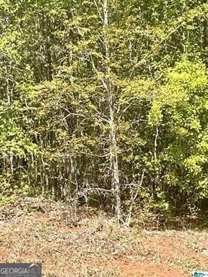 Listing photo 2 for LOT23 13th Ct SW, Lanett AL 36863