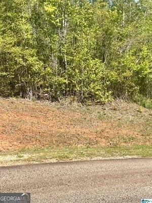 LOT23 13th Ct SW, Lanett AL, 36863 land for sale