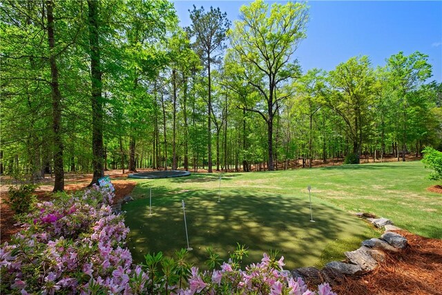 1321 Falls Crest Dr, Auburn, AL 36830 - surrounding community with a yard