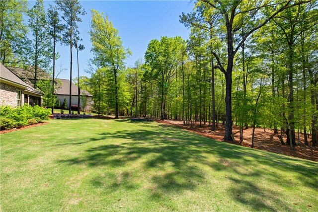1321 Falls Crest Dr, Auburn, AL 36830 - view of yard