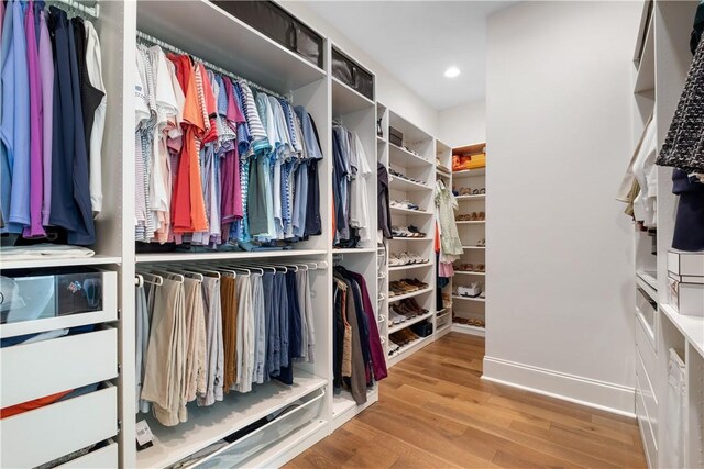 1321 Falls Crest Dr, Auburn, AL 36830 - walk in closet with wood finished floors