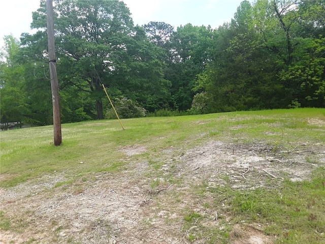 1788 King Rd, Valley AL, 36854 land for sale